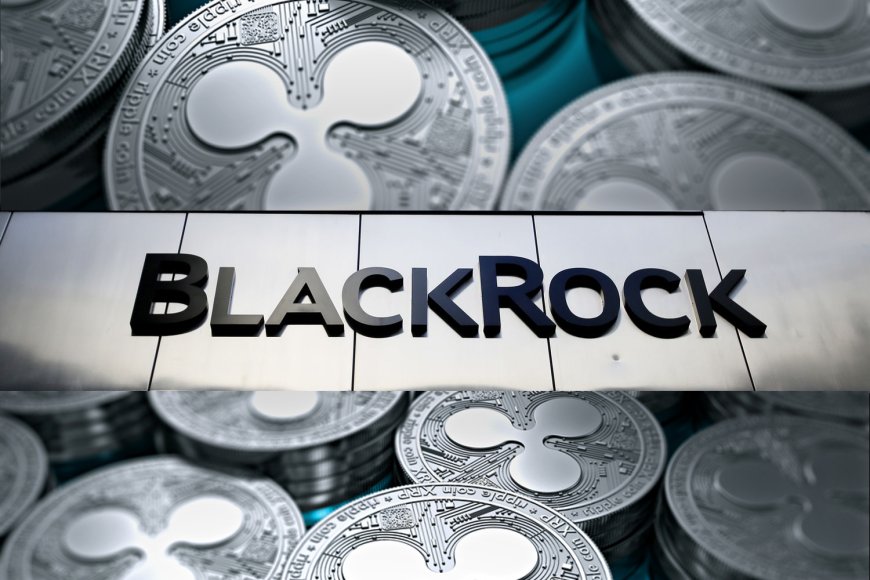 XRP ETF Speculation Heats Up Amid Industry Buzz But BlackRock Backs Off