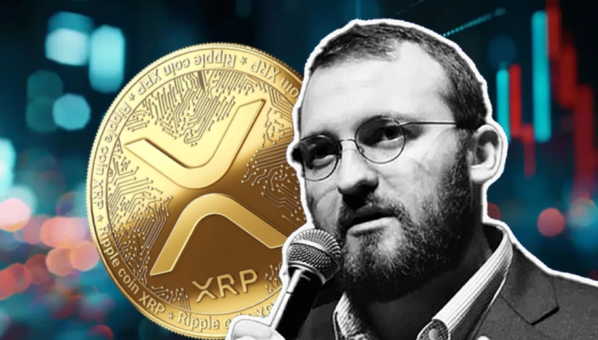 Cardano’s Lace Wallet to Add XRP Support, Confirms Charles Hoskinson