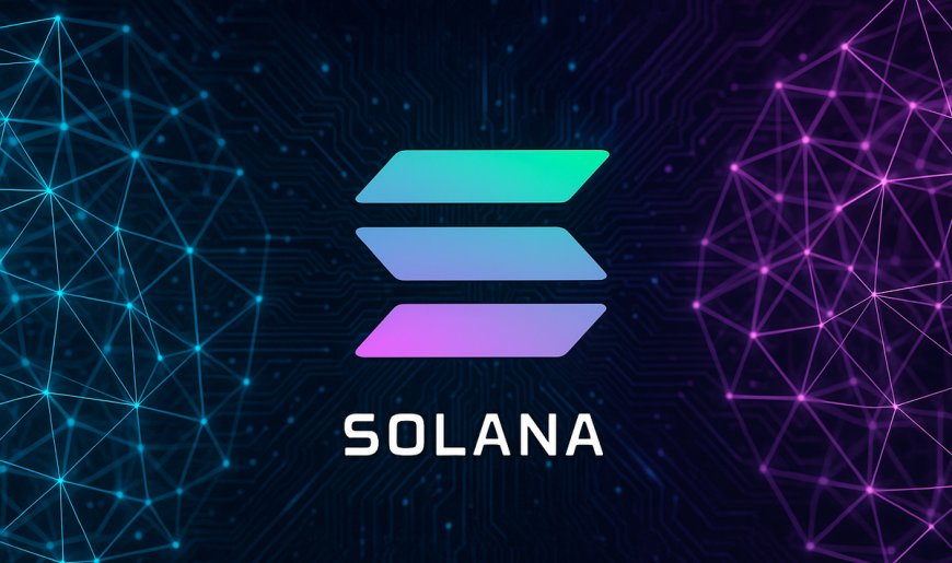 Solana’s Breakthrough Moment: From Memecoin Chaos to Real-World Payments Powerhouse